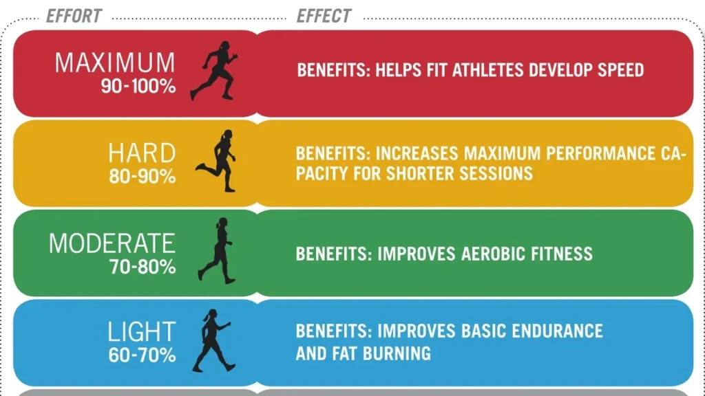 What is a healthy heart rate range when exercising?