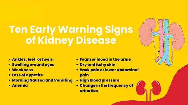 How to Check Kidney Function at Home