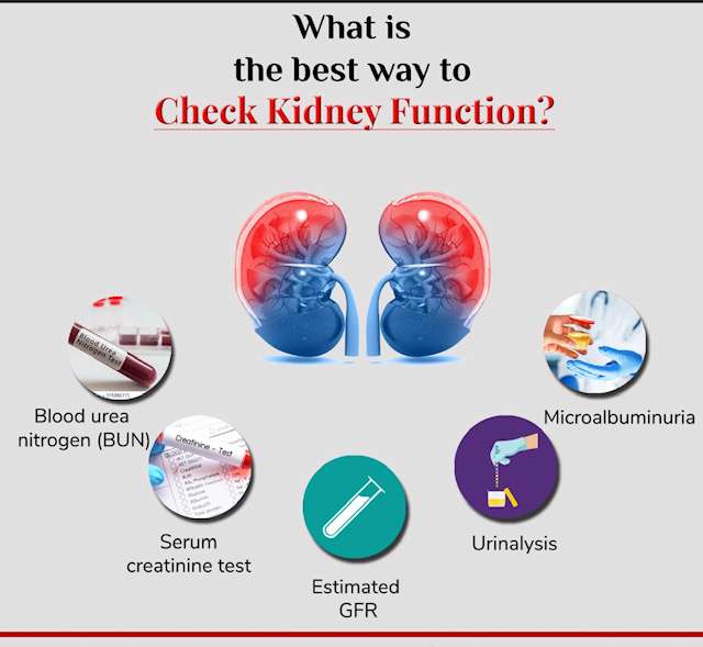 How to Check Kidney Function at Home