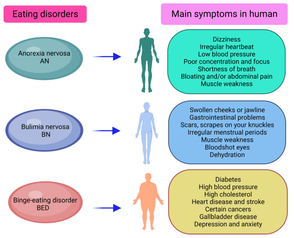  Anorexia Nervosa